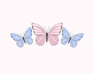 butterfly on a white background