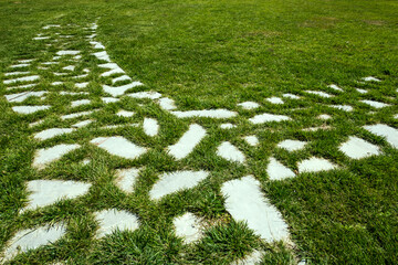 Forked path of white stones in the garden