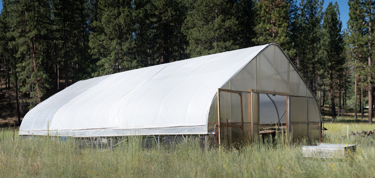 A large greenhouse in a meadow, at the edge of the forest. It is covered by plastic tarp, and has an open door.