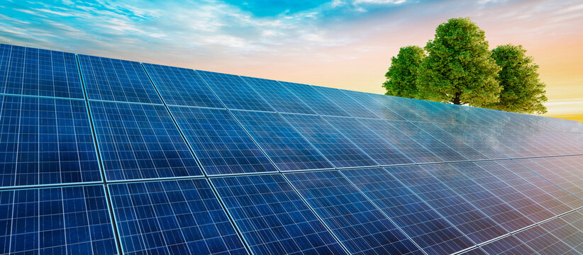 Solar panels at sunset with group of trees - 3D illustration