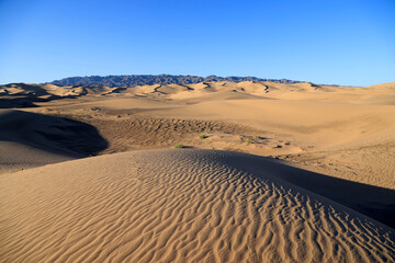 The singing dunes of Khongoryn Els in the morning, Gobi desert