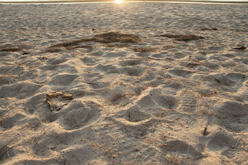 The sun was setting over the sandy beach.As the sun dipped lower in the sky, the footprints grew more defined,they noticed something else - a small patch of sand. 
