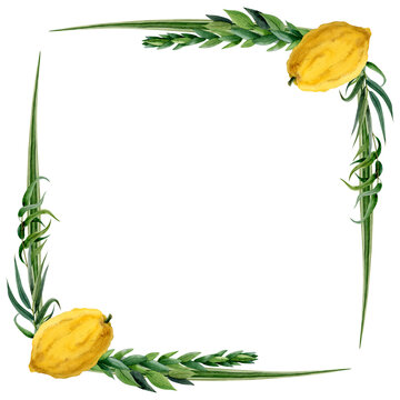 Sukkot square  watercolor  isolated on white background with etrog, four species for Jewish holiday greeting cards