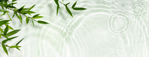 spa background banner with green bamboo leaf on white transparent water wave in sunlight, concept...