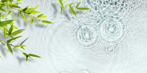 green bamboo plant on transparent fresh raindrop water surface, beautiful spa background wallpaper...