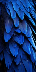 Fototapeta premium Blue neon macaw feathers, dramatic lighting.