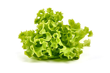 Lettuce Salad leaves, isolated on white background.