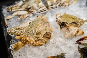 Fresh swimming crabs sold arranged inside iced container box display. Fish caught by fishermen. Concept for whole healthy food, nutrition, omega-3, animal protein, seafood.