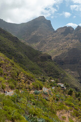 Fototapeta na wymiar Masca is one of the most picturesque parts of Tenerife island and is located in the northwest at the foot of the Teno Mountains Canary islands Spain