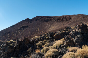Teide National Park, located in the centre of the island of Tenerife, is the largest and oldest of the four national parks on the Canary Islands Spain