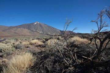 Fototapeta premium Teide National Park, located in the centre of the island of Tenerife, is the largest and oldest of the four national parks on the Canary Islands Spain