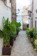 Historic Vila Vella Streets in Tossa de Mar, Costa Brava
