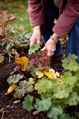 cropped shot of a senior woman picking up some leaves and flowers from the soil