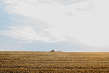 A modern tractor with a heavy trailed disc harrow plows a wheat field at sunset.