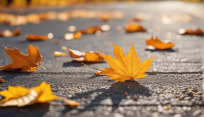 Autumn yellow leaves lying on the wet gray asphalt 