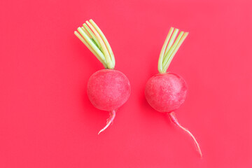 Fresh radish on red background, Organic vegetable