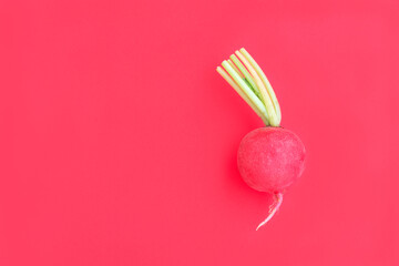 Fresh radish on red background, Organic vegetable