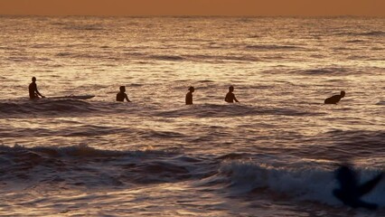 At Durban beach, in the glow of the morning sunrise, surfers sit on their boards in the gold-colored sea, with pigeons flying past in the foreground.