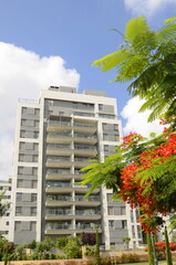 Obraz premium Residential area, flowering trees, beautiful street. Modern houses in Israel. Buying real estate, renting housing.