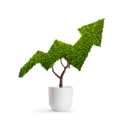 Growth concept, plant growing in the shape of an stock arrow - 638837284