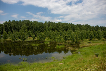 Lake in the forest in Galati, Romania