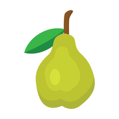 Pear fruit icon vector