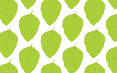 seamless pattern with green leaves, a pattern of green leaves on a white background