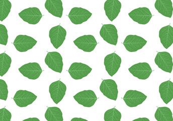 seamless pattern with green leaves, a pattern of green leaves on a white background, 