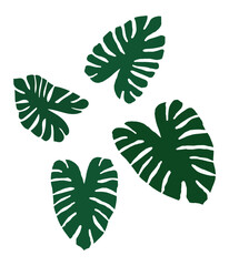 set of green leaves, monstera leaves set vector design on white background