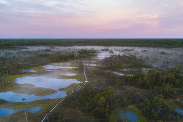 The famous Estonian Viru swamp at the dawn of the sun in summer, photo from a drone.