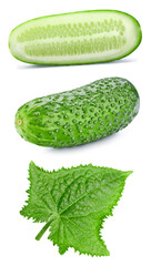 Cucumber. Fresh organic cucumber isolated on white background. Cucumber macro