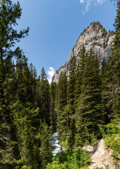 Fototapeta na wymiar Waterfall Views in Cascade Canyon of the Teton Crest Trail in Summer