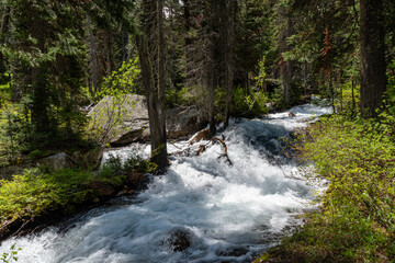 Waterfall Views in Cascade Canyon of the Teton Crest Trail in Summer
