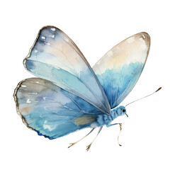 Watercolor Monarch Butterfly Clipart | Transparent Butterfly PNG | Instant Download