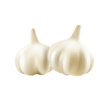 garlic bulbs isolated on white  background