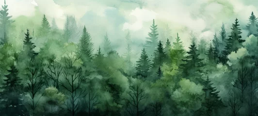 Foto op Aluminium Watercolor painting of green forest woods trees, hand drawn fir and spruce trees, landscape .background illustration © Corri Seizinger