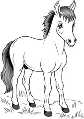 Coloring pages. Farm animals. Little cute foal