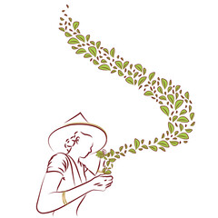 Worker picking tea leaves in tea garden