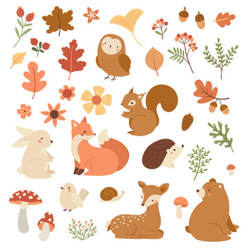 Vector set of forest animals and autumn leaves  illustrations 