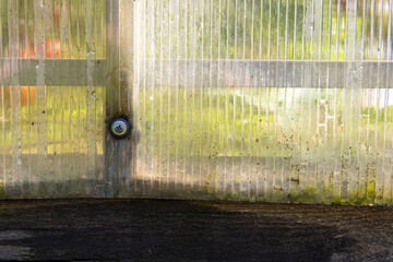 Close-up of a transparent polycarbonate sheet with dew drops inside in a greenhouse