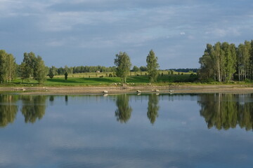 reflection of trees in water