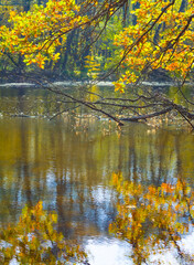 small calm lake with red dry trees on coast, autumn outdoor landscape