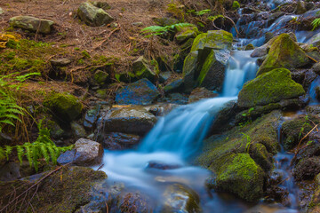small brook flow in mountain canyon