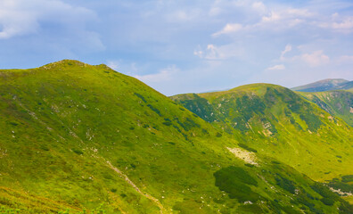 Fototapeta premium green mountain valley at the summer day, concept mountain travel background