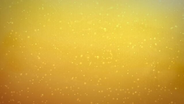 Beer filling up with transparent background