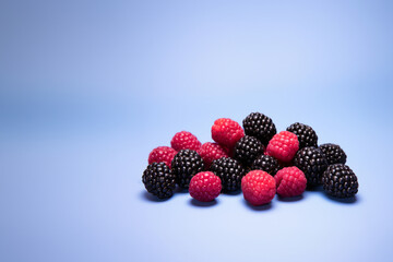Blackberry fruit on a solid color background. Isolated object in photo studio. Commercial shot with copyspace.