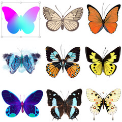 set of butterflies