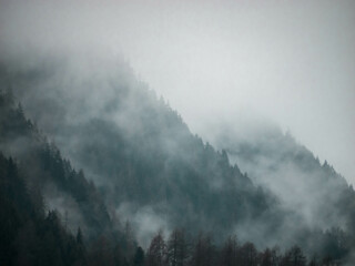 fog over trees - fogy forest on mountain 