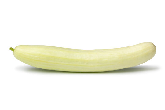 Single fresh white cucumber close up isolated on white background