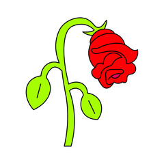 red rose with green leaves